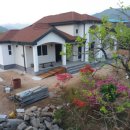 수목농장 이미지