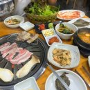 하누야 이미지