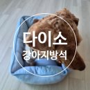 다이소 강아지방석 후기, 냉감 양면방석 강아지가 잘 사용할까?