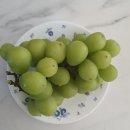 샤인광고 이미지