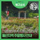 십리대밭 축구장 다목적구장 | 산골영화제부터 태화강 달리기! 울산지역 주말행사 안내