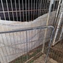 사랑이 각막상처 / 안약 이미지