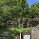 로터리자동차부분 | 전남 초보 등산코스 추천 나주 금성산 3시간 산행 후기