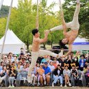 2024 과천공연예술축제 이미지