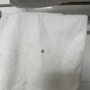 잠실 NU호텔 종합운동장점 이미지