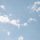 아도니스모터스 이미지