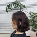 서초대로58길 5 이미지