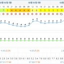 쌍솔식당 이미지