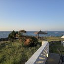 스테이카멜7 이미지