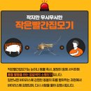 전국에 일본뇌염 경보발령! 모기 조심하세요! 이미지