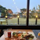 로빈포레스트