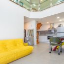 토토애견 이미지