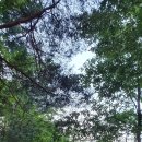 모운동펜션민박 이미지