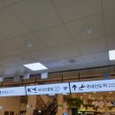 체크 인 제주 이미지