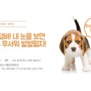대화취업정보 이미지