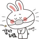 서쪽아이 이미지