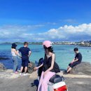 제주도 푸른밤 이미지