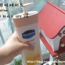 헬씨짐 네이버블로그