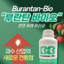 사과 부란병 예방, “부란탄 바이오” 실제 사용 후기