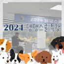 댕댕스쿨 이미지