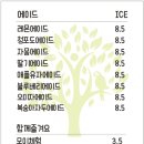 리프패럿영통