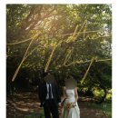 비밀의 화원 lejardinsecret 아이폰 스냅 계약 후기