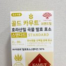 호라산밀 발효효소 추천 동화약품 골드 카무트효소 후기