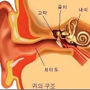 귀를 당기면 모든 질병이 사라진다. 이미지