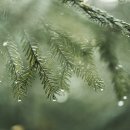 아로마스프레이 만들기 이미지