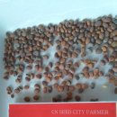 주식회사 청농 이미지