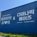 속초얼라이브하트다이나믹메이즈 네이버블로그