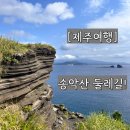 마중 가던 길 | [제주여행] 추석연휴 송악산 산책 후기｜걷기 좋은 서귀포 가을길_박간호사 일상