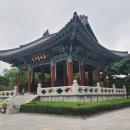 국채보상공원 Daum카페