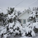 힐링빌리지 이미지