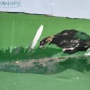 현 건축사사무소 이미지
