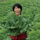 시골밥상(한식뷔페)