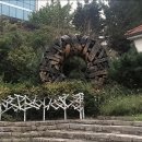 비에비스나무 병원