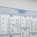 바다회 이미지