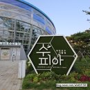 상동549 | 부천 상동 호수공원 수피아 식물원 야간개장 후기, 예약 방법, 주차, 수피아 카페