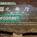 모노트립
