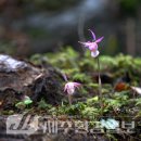 한라전설(주) 이미지