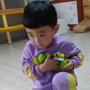 퍼니 놀이미술 이미지