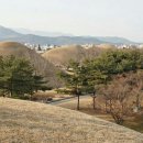 대릉원 이미지