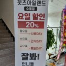 펫츠아일랜드 수월점 이미지