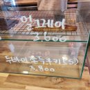 티그레로호 | 성신여대 티그레로호 3800원 두바이쫀득쿠키 내돈내산 후기