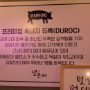 냉돈84 이미지