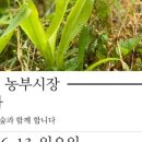 기담농장 이미지