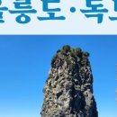 예주항공여행사 이미지