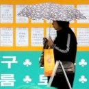 대전 3731 대전일보