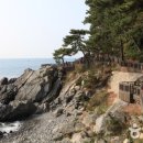 해운대 관광특구 네이버블로그
